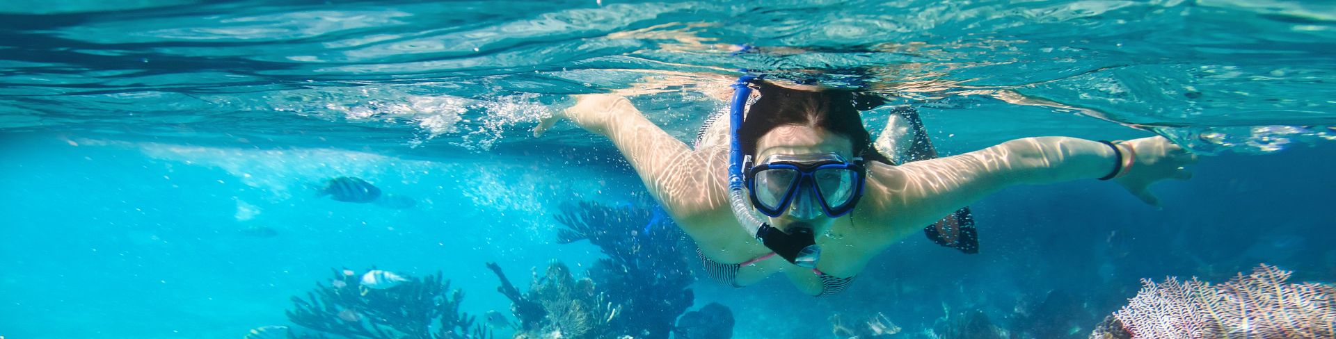 Dominica Snorkel Adventure