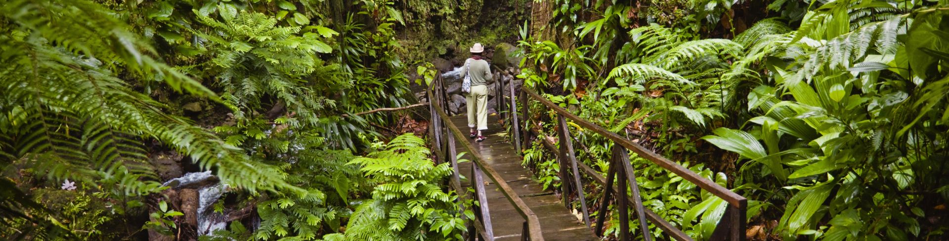 Nature Hike to Dominica’s Milton Falls