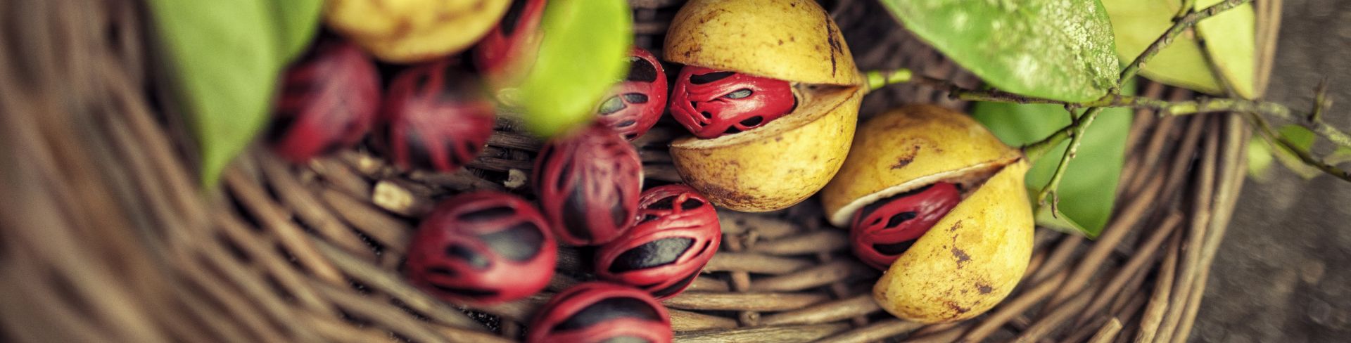Natural Wonders of the Isle of Spice