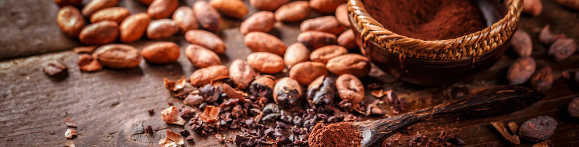 Chocolate Making at Howelton Estate