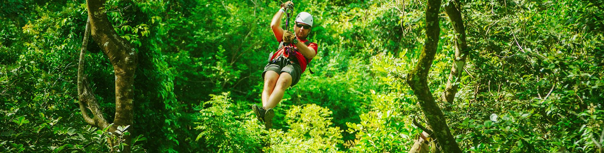 Rainforest Aerial Tram & Zip Lining