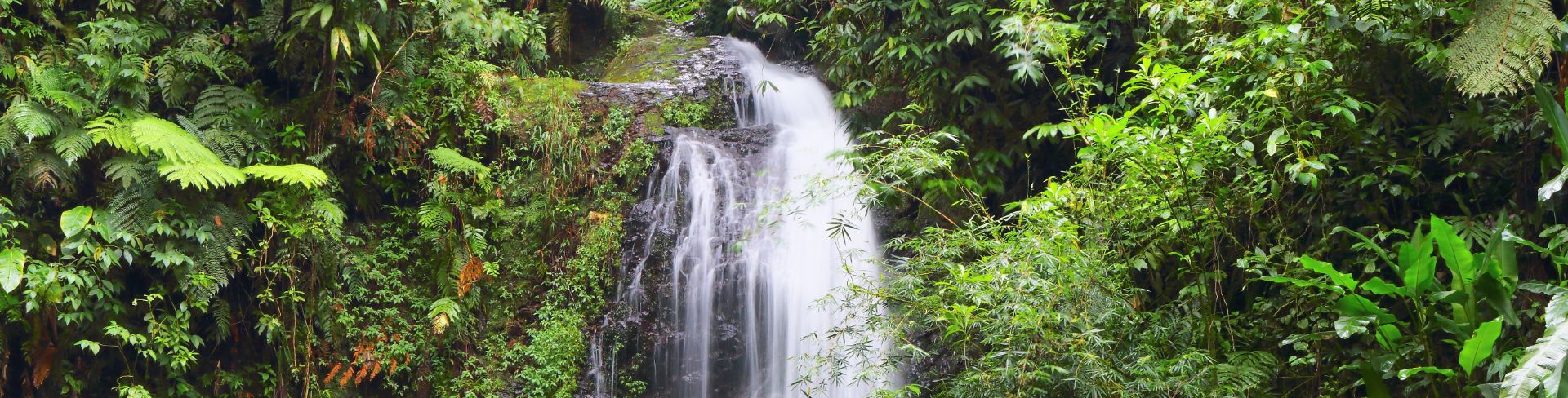 Martinique Waterfall & 4x4 Island Adventure