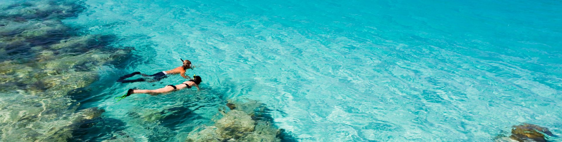 Tobago Cays Snorkeling