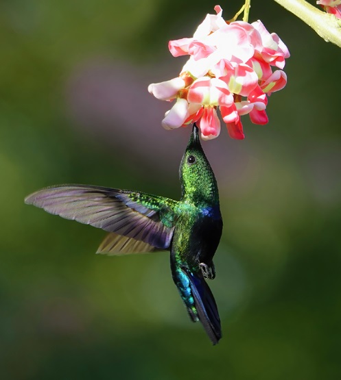 Excursion Filler Img Ilma2