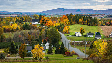 Autumn in a small town, with a central road running over the hill and a few homes.