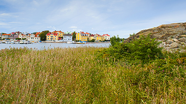 Green field in front of water and houses in the distance.