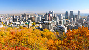 Montreal's city skyline behind trees with bright orange and yellow autumn leaves.