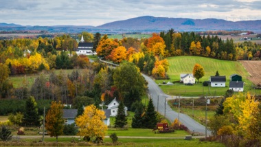 A street winds up a hill covered in lush green grass, colorful trees and homes.