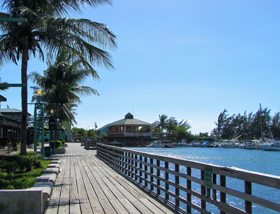 Palm trees line a path way overlooking the water under a clear blue sky.