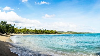 Blue water washes up against the sandy beach, surrounded by trees.