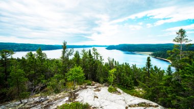 Dense green trees from a mountaintop overlooking a body of water.