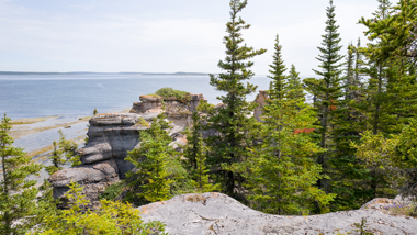 Green trees in rocky cliffs overlooking the ocean.