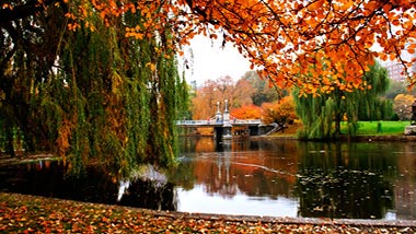 Bright yellow and orange leaves frame the serene small water,
