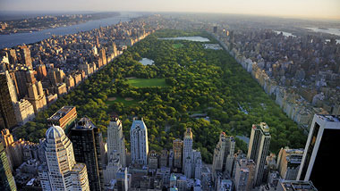 Skyscraper buildings line the edges of New York City's central park.