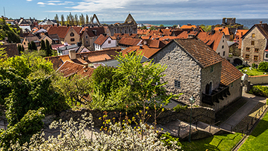 Orange roofed houses with green grass in front of the ocean.